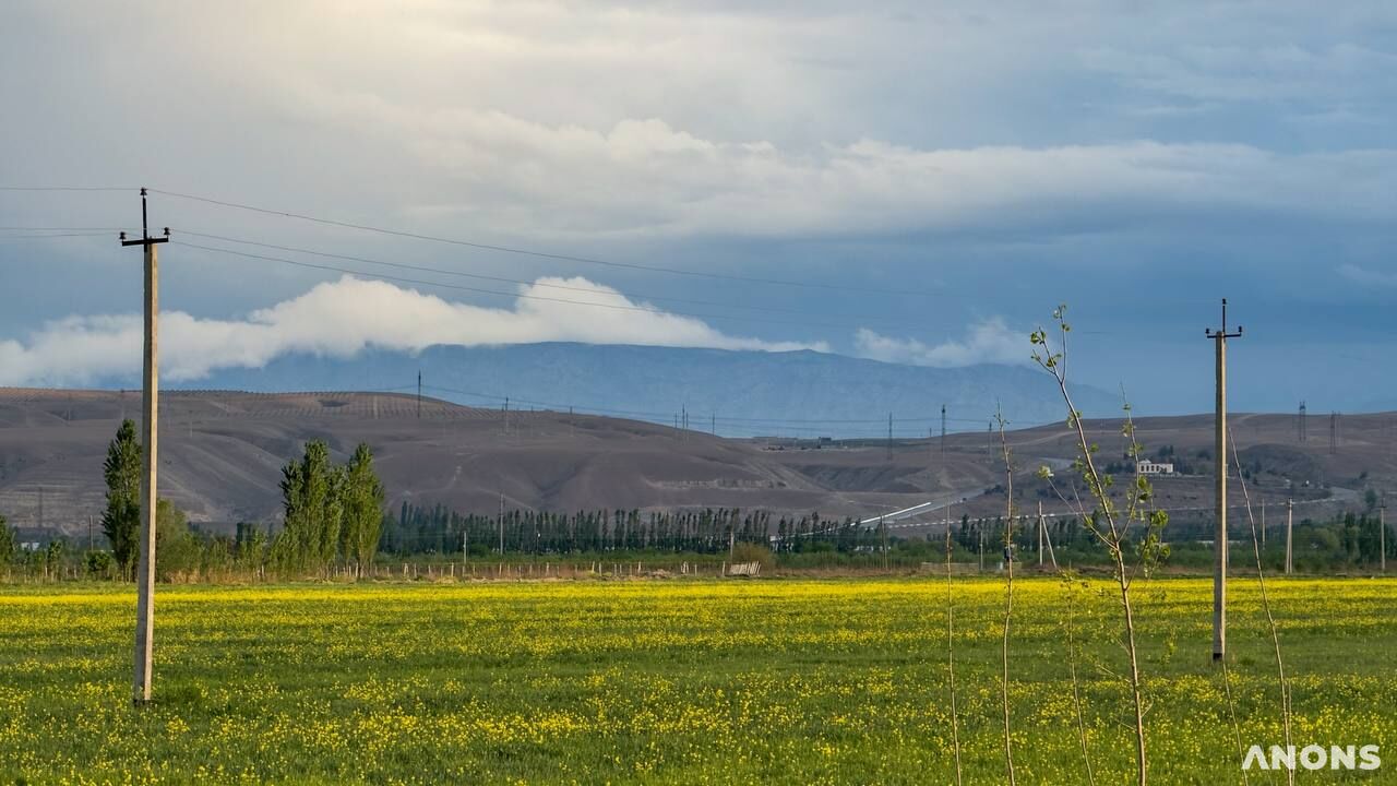 Жара и кратковременные дожди ждут узбекистанцев на этой неделе