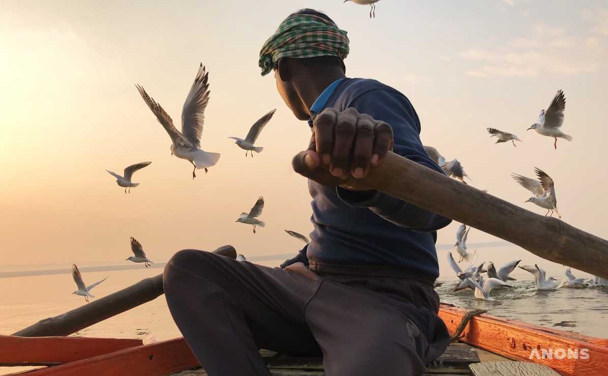 Названы победители премии iPhone Photography Award 2020
