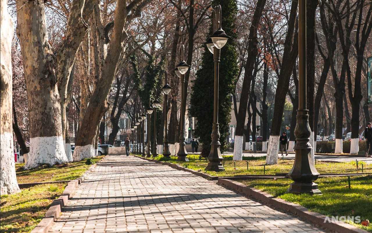 Весна возвращается: потепление до +27 градусов ожидается на этой неделе