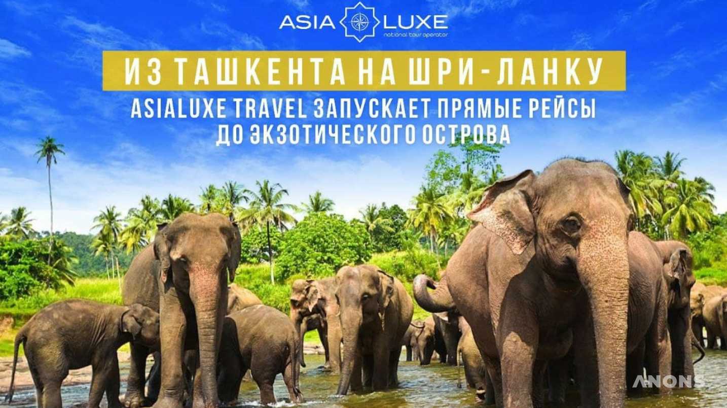 Запускаются прямые чартерные рейсы из Ташкента на Шри-Ланку