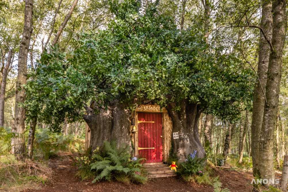 Disney построил дом Винни-Пуха в английском лесу, который можно арендовать на ночь через Airbnb