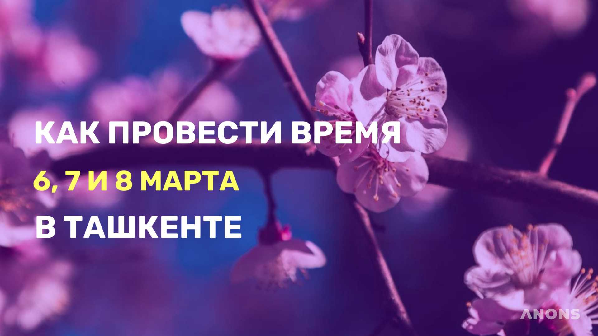 Чем заняться на праздничных выходных - подборка событий