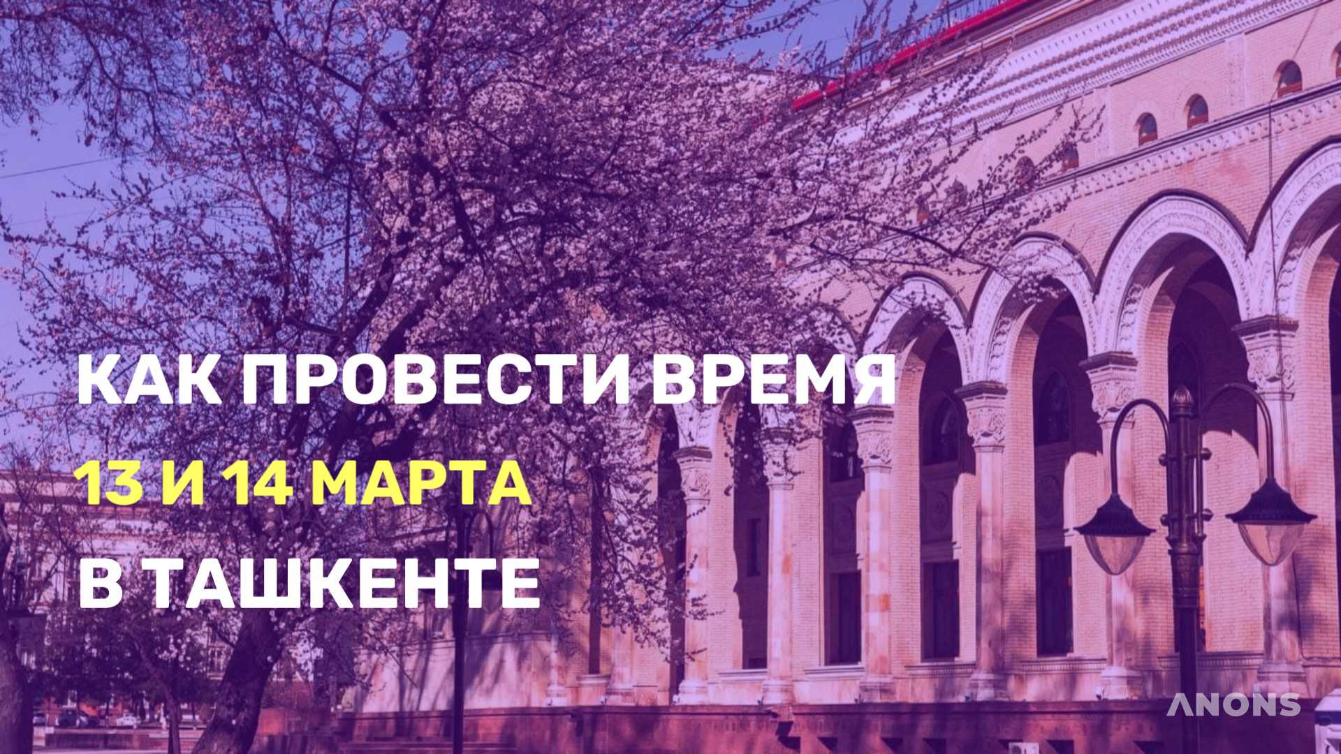 Чем заняться на выходных в Ташкенте - подборка событий