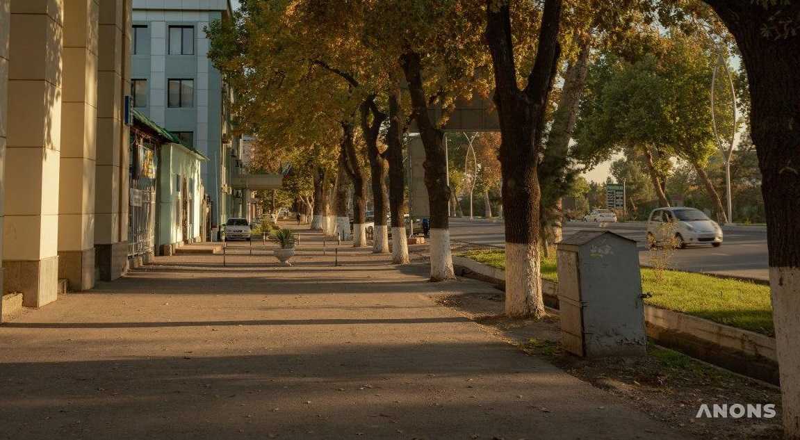 Синоптики рассказали о погоде на конец сентября