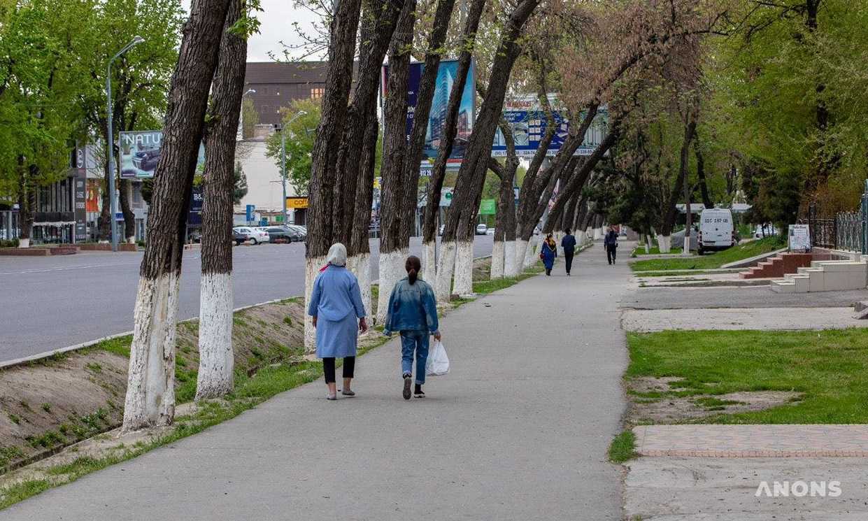 Требования, которые сохраняются во всех регионах Узбекистана