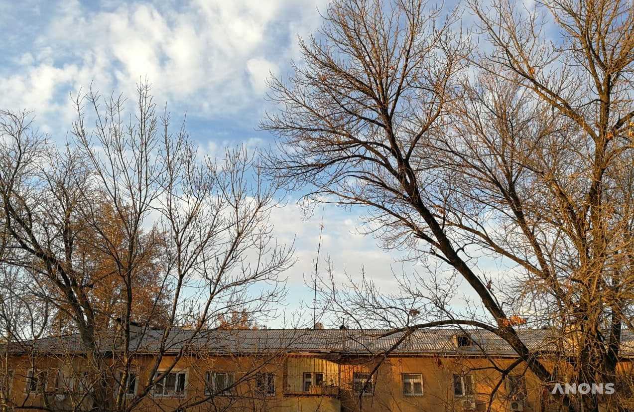 На этой неделе узбекистанцев ждёт небольшое потепление