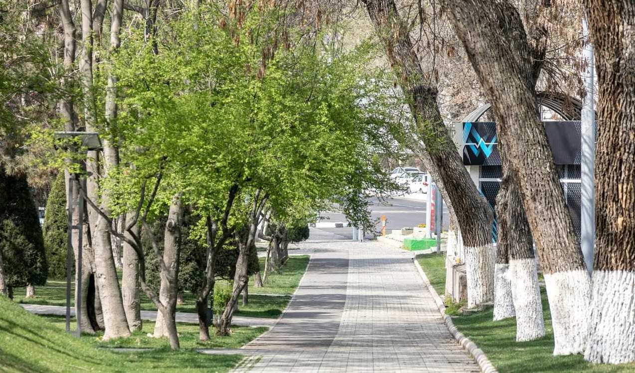 На выходных температура воздуха будет в пределах +34 градусов