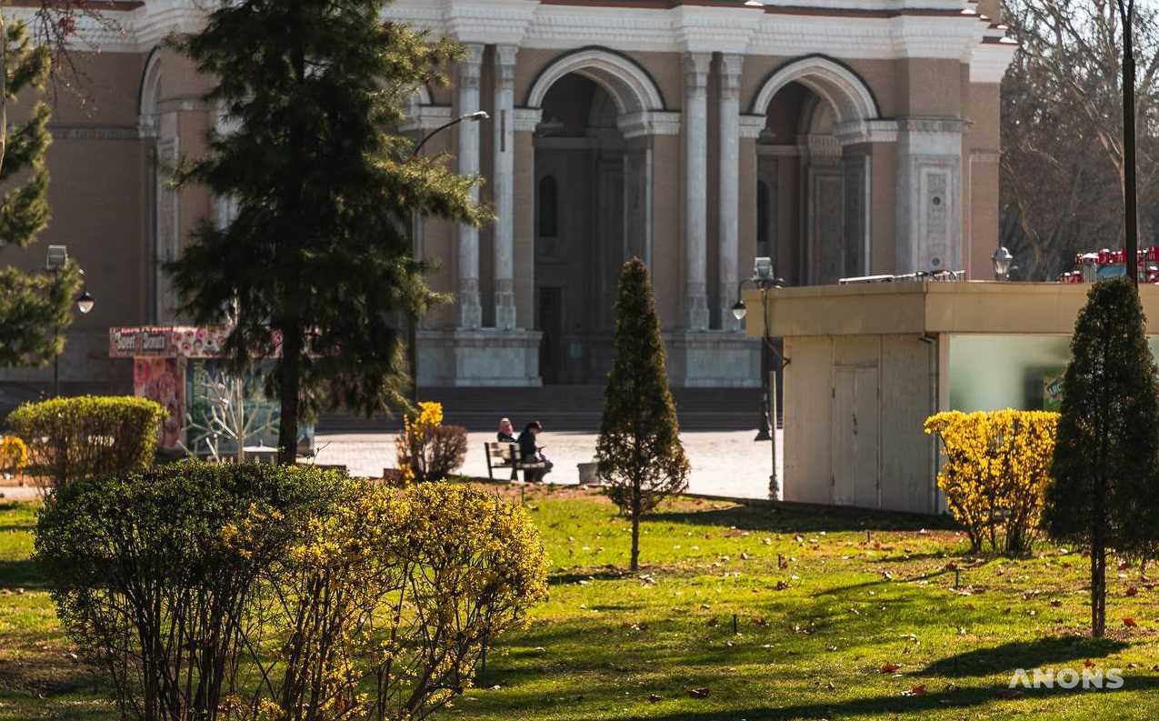 В последние дни марта узбекистанцев ждёт погода без осадков и потепление до +25 градусов