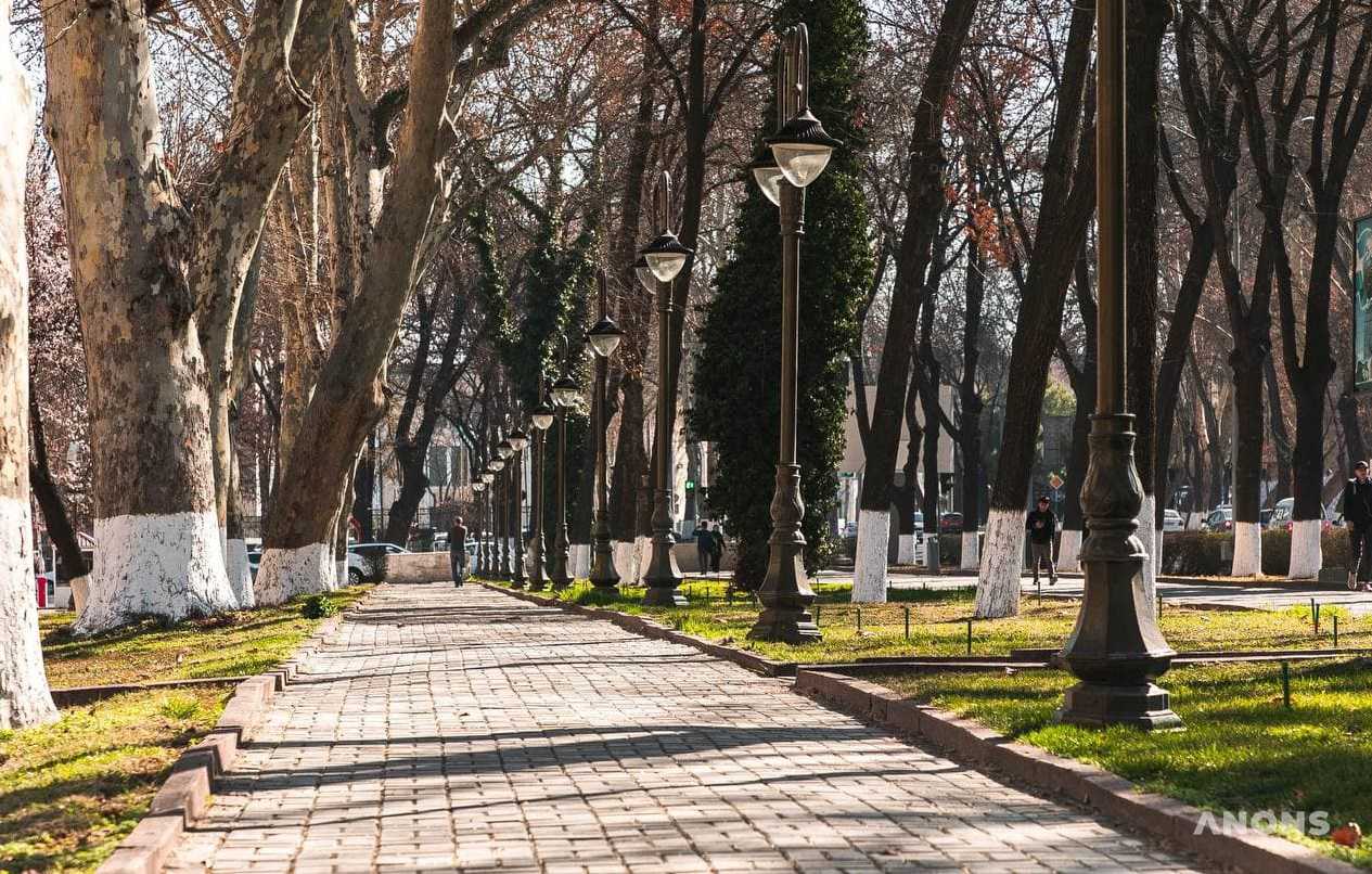 Синоптики рассказали, какой будет погода в феврале в Узбекистане
