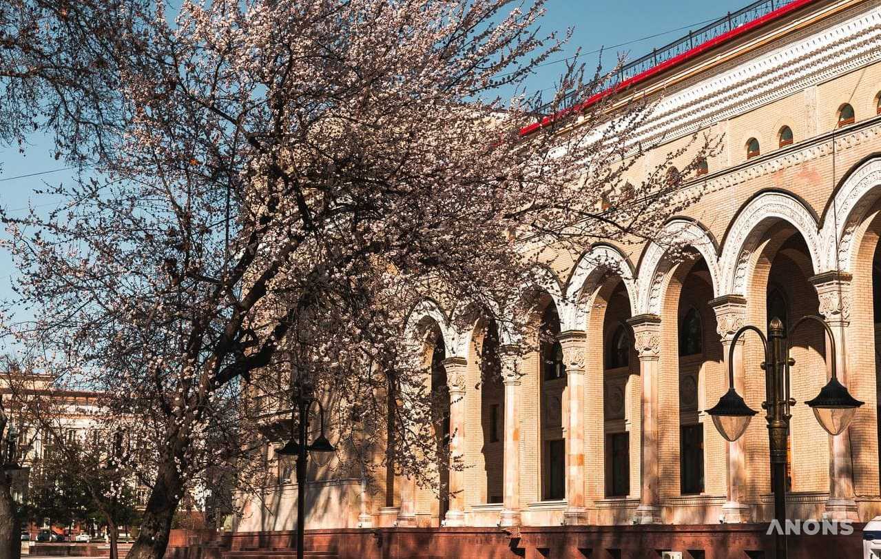 В Узбекистане на выходных воздух прогреется до +20 градусов