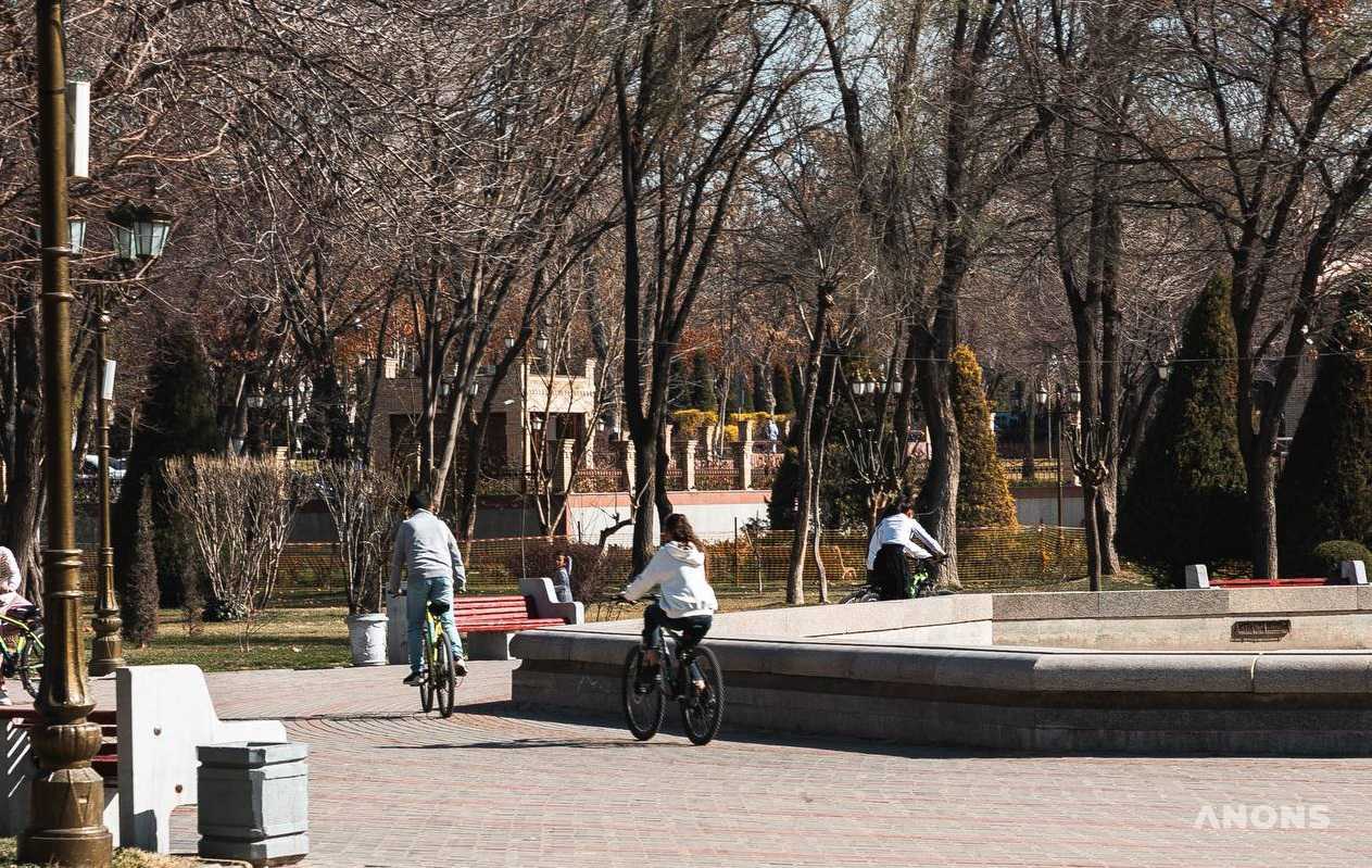 В воскресенье холодный воздух начнёт отступать: воздух прогреется до +13 градусов