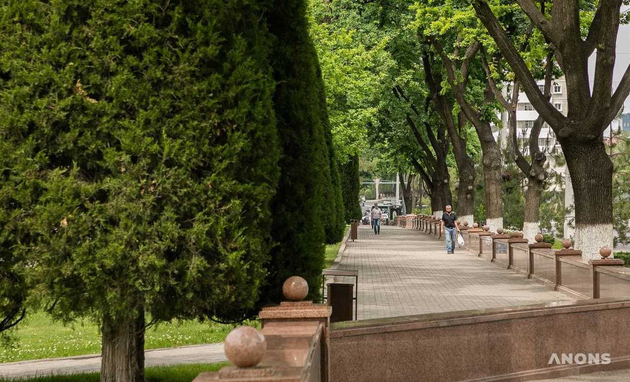 В первой половине недели узбекистанцев ожидает комфортная погода