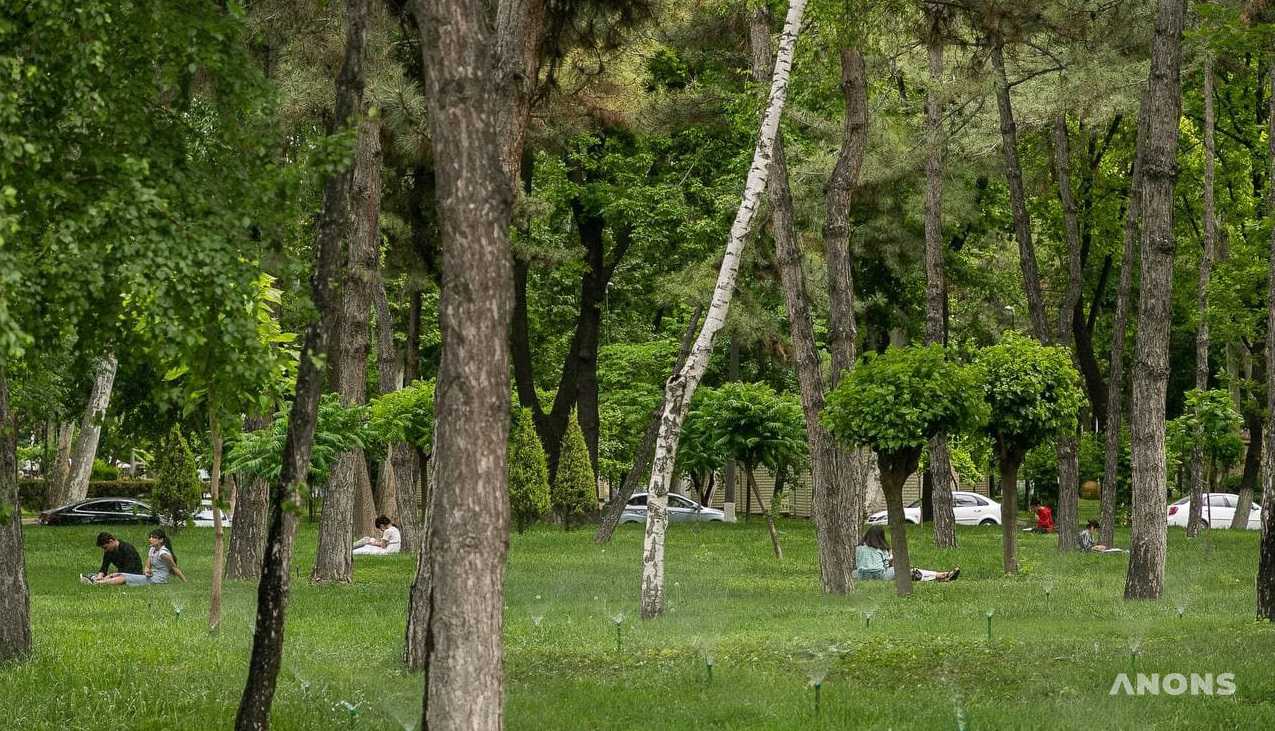 В Узбекистане ожидается спад жары к концу рабочей недели