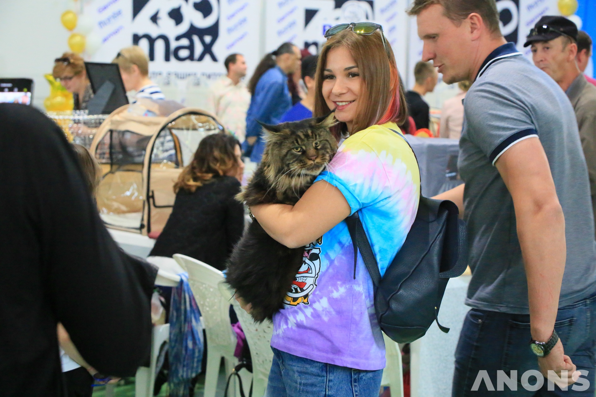 Выставка Cat World 2019