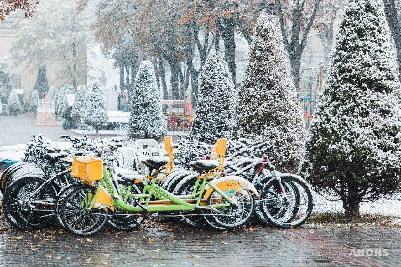 Первый снег в Ташкенте — фоторепортаж