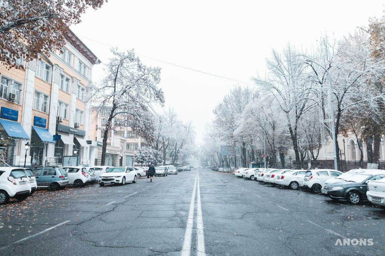 Первый снег в Ташкенте — фоторепортаж