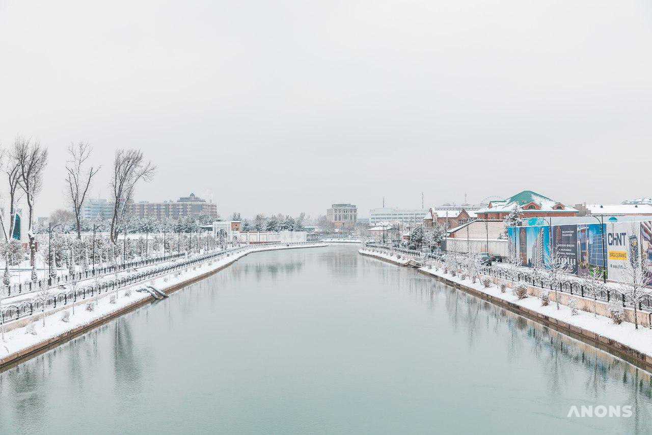 Ташкент замело снегом — фоторепортаж