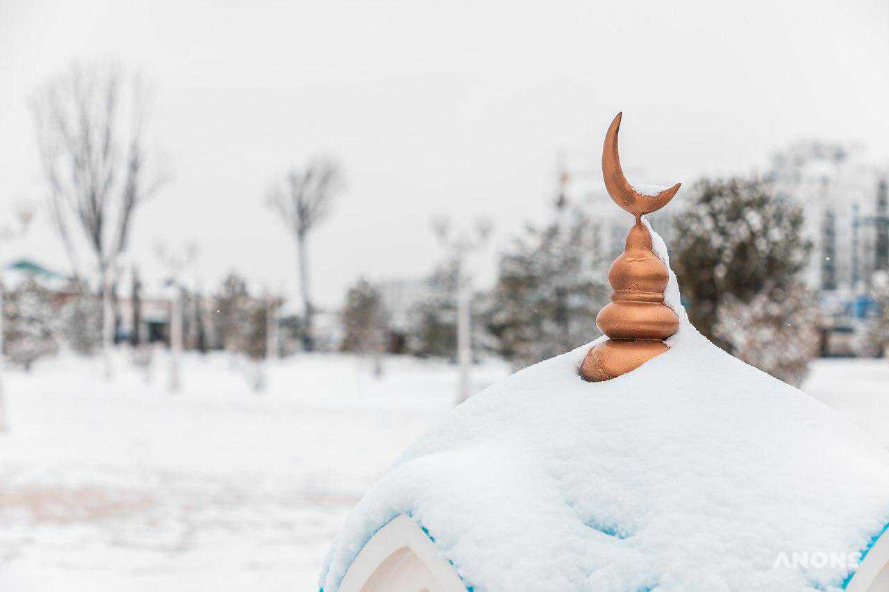Ташкент замело снегом — фоторепортаж