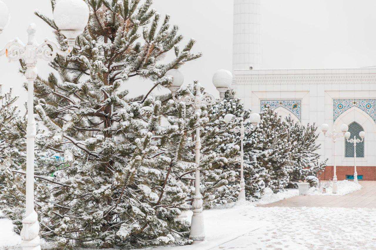 Ташкент замело снегом — фоторепортаж