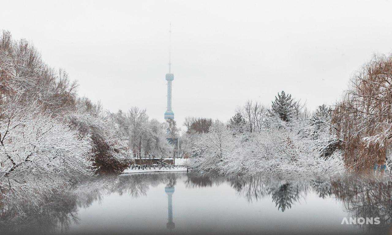 Ташкент замело снегом — фоторепортаж