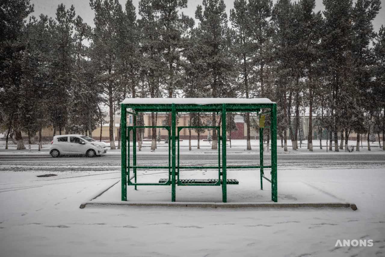 В Ташкенте выпал ноябрьский снег - фоторепортаж