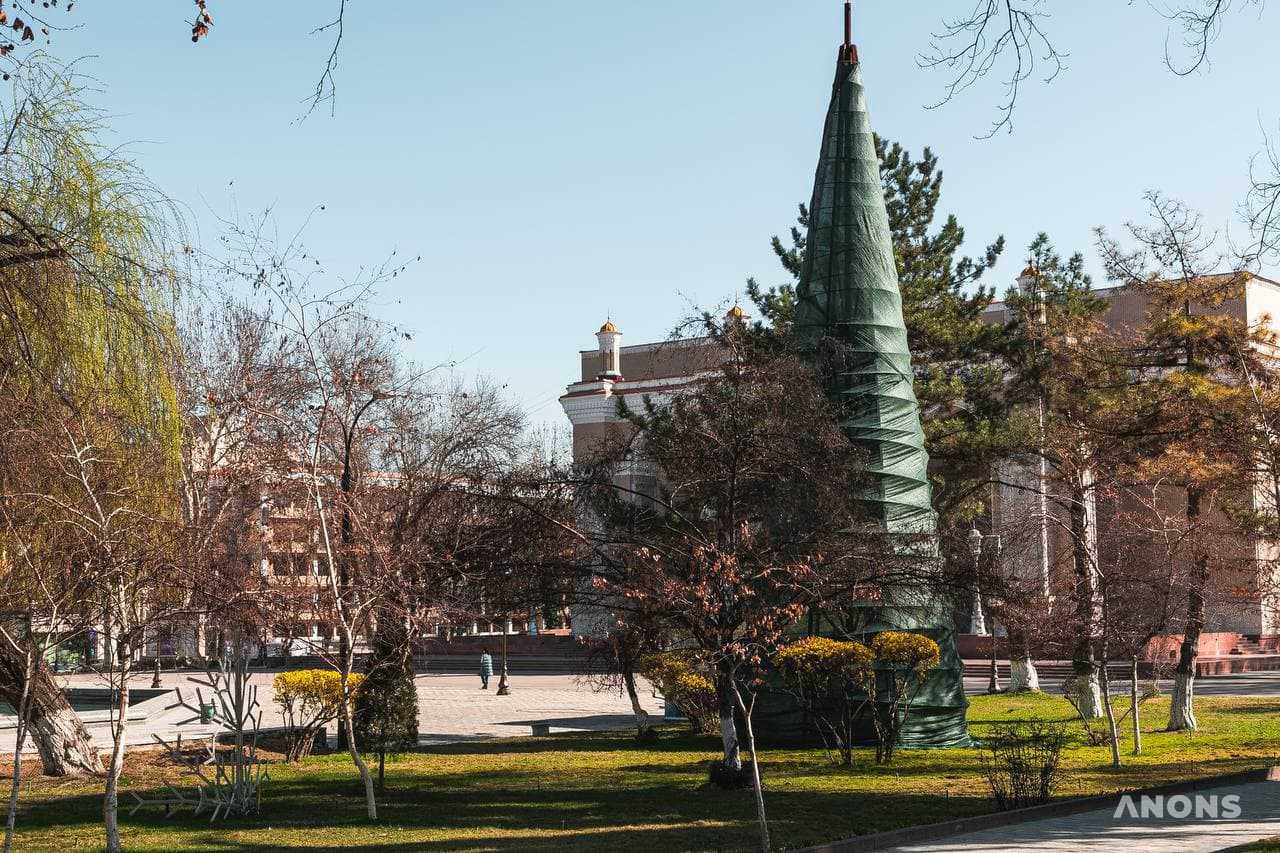 Ташкент цветёт и зеленеет: весенняя погода в феврале - фоторепортаж