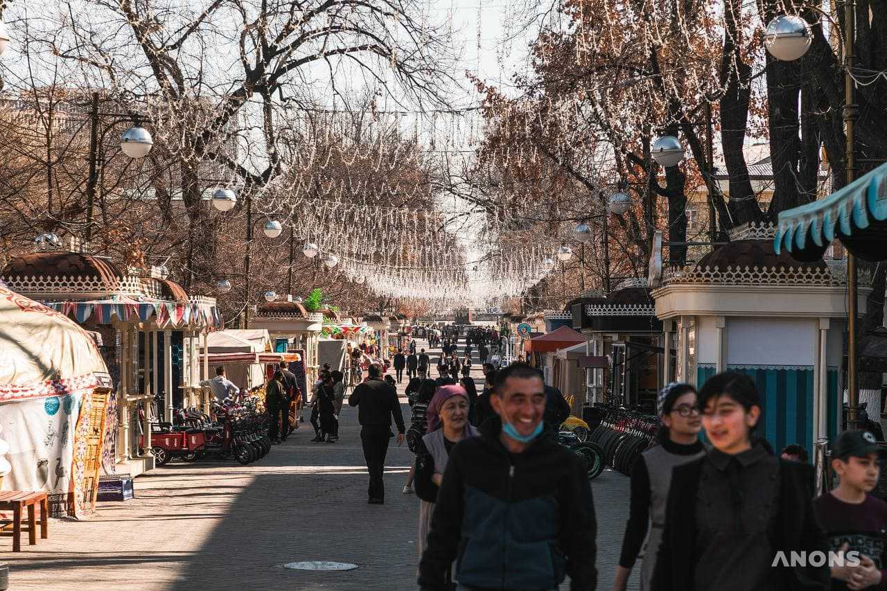 Ташкент цветёт и зеленеет: весенняя погода в феврале - фоторепортаж