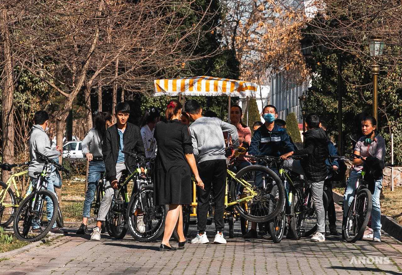 Ташкент цветёт и зеленеет: весенняя погода в феврале - фоторепортаж