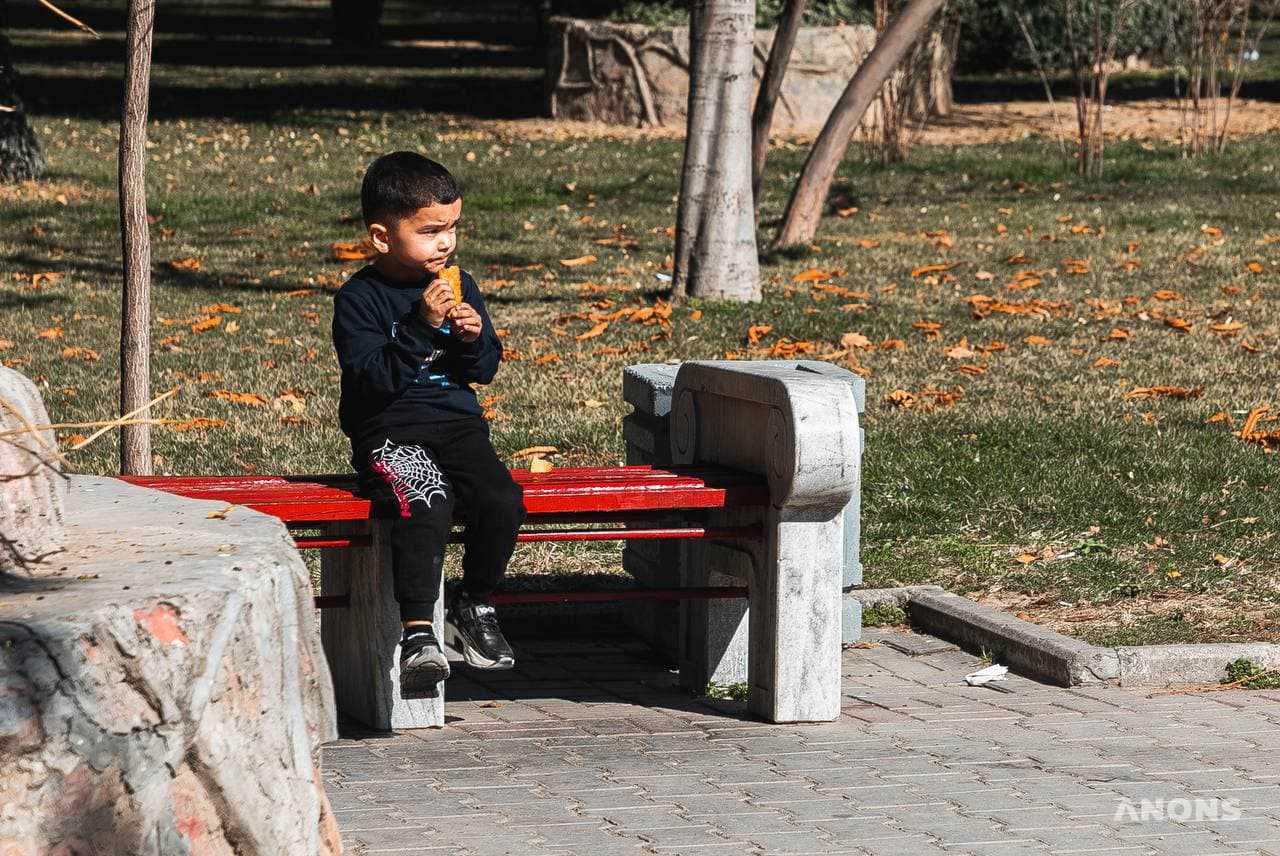 Ташкент цветёт и зеленеет: весенняя погода в феврале - фоторепортаж