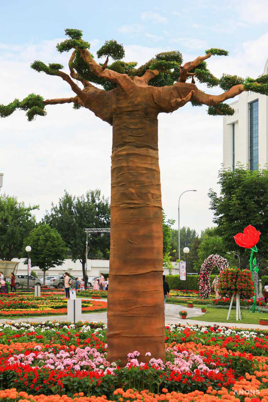 Праздник красоты и эстетики: в Ташкенте стартовал фестиваль цветов Tashkent Flower Fest 2022 – фото