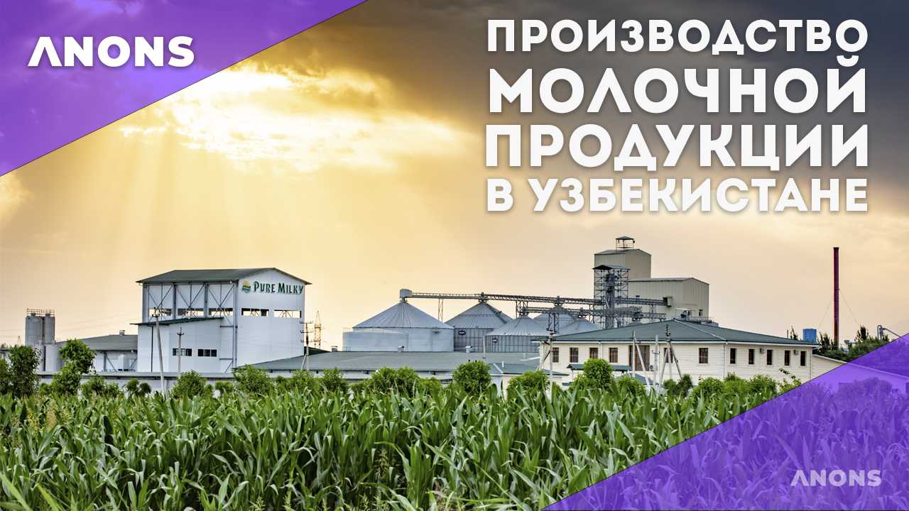 Как это устроено: производство вкусной молочной продукции в Узбекистане