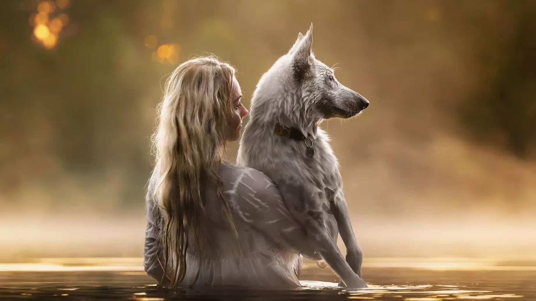 Лучшие фото с собаками 2024 года: итоги Dog Photography Awards