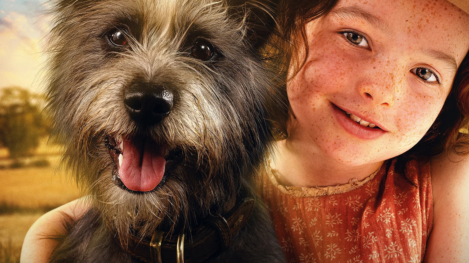 Мой любимый двортерьер
