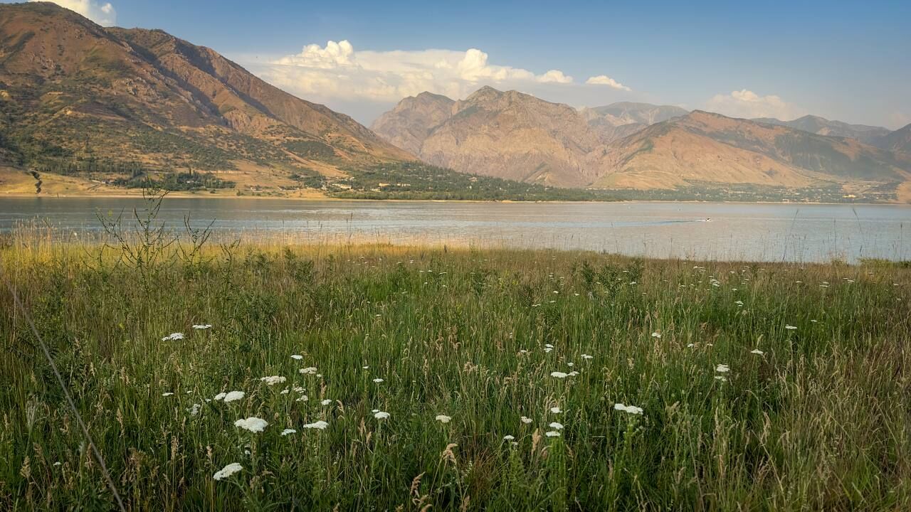 Последние дни лета в Узбекистане будут прохладными