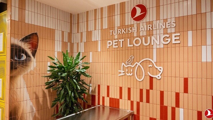 Turkish Airlines открыла зал для домашних животных в аэропорту Стамбула