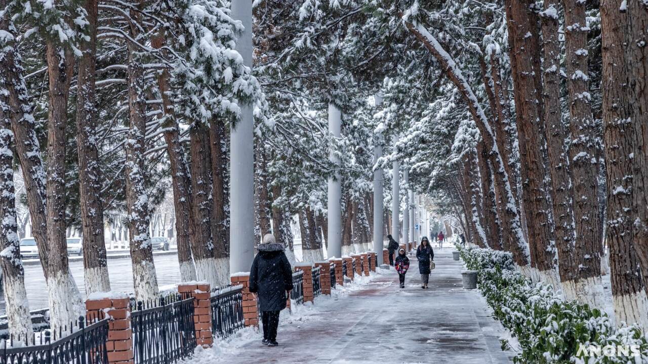 Осадки в виде дождя и снега ожидают узбекистанцев в ближайшие дни