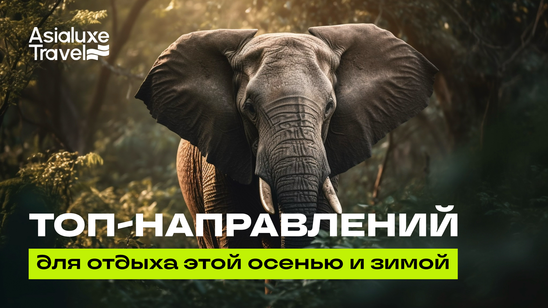 От Мальдив до Альп: лучшие направления для отдыха этой осенью и зимой
