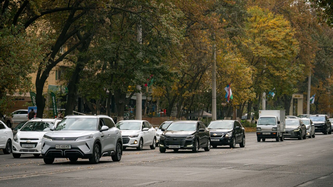 Погода на выходные: в Узбекистане 22–23 ноября ожидается сухая и тёплая погода
