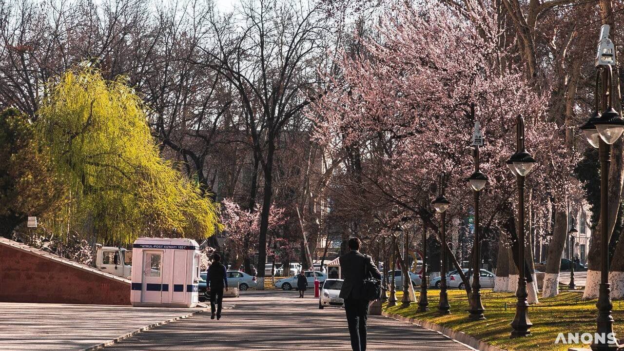 Bu hafta O‘zbekistonda havo haroratining +20 darajagacha ko‘tarilishi kutilmoqda