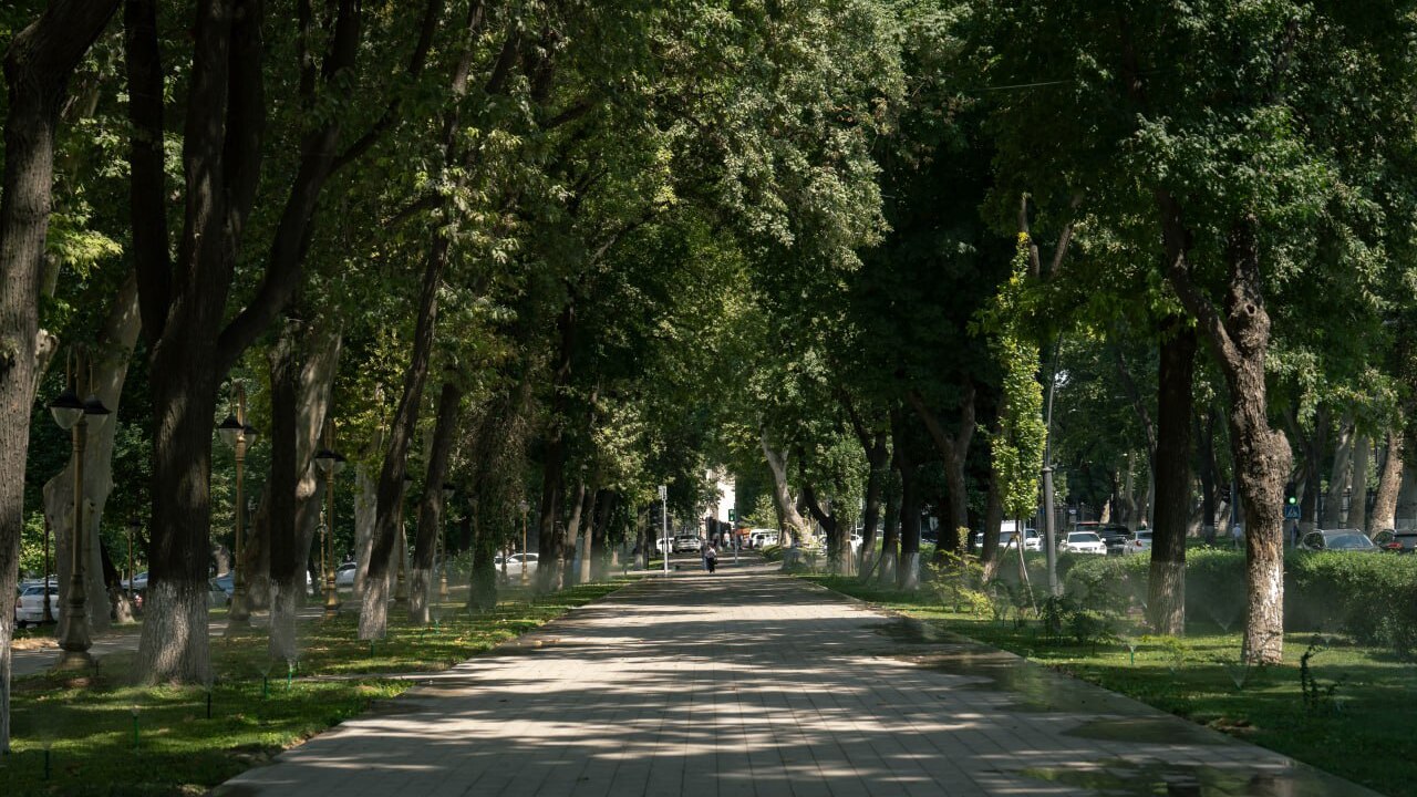 В выходные сохранится погода свыше +40 градусов