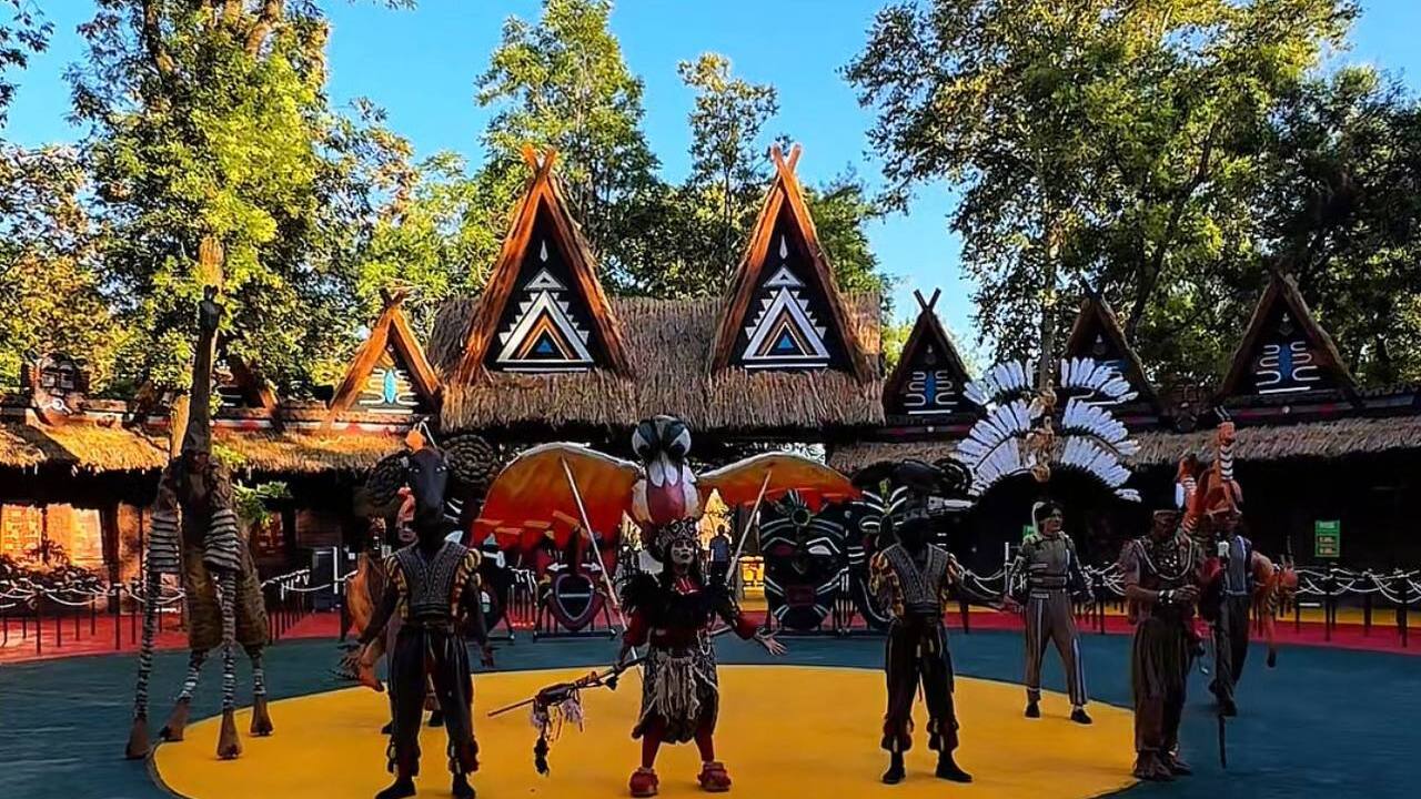“Magic Safari” bog‘i “Qirol sher” myuzikliga taklif qilmoqda