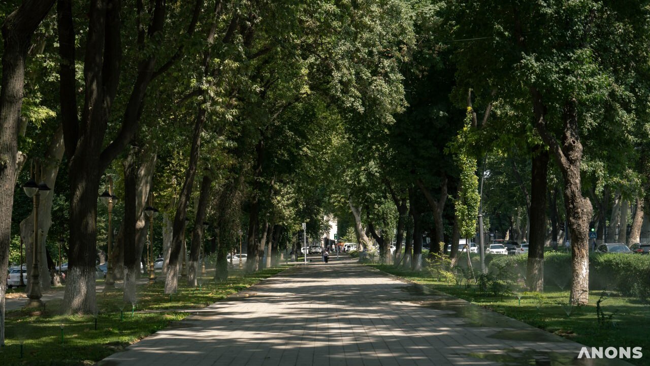 Bu hafta havo harorati +20 darajagacha pasayadi