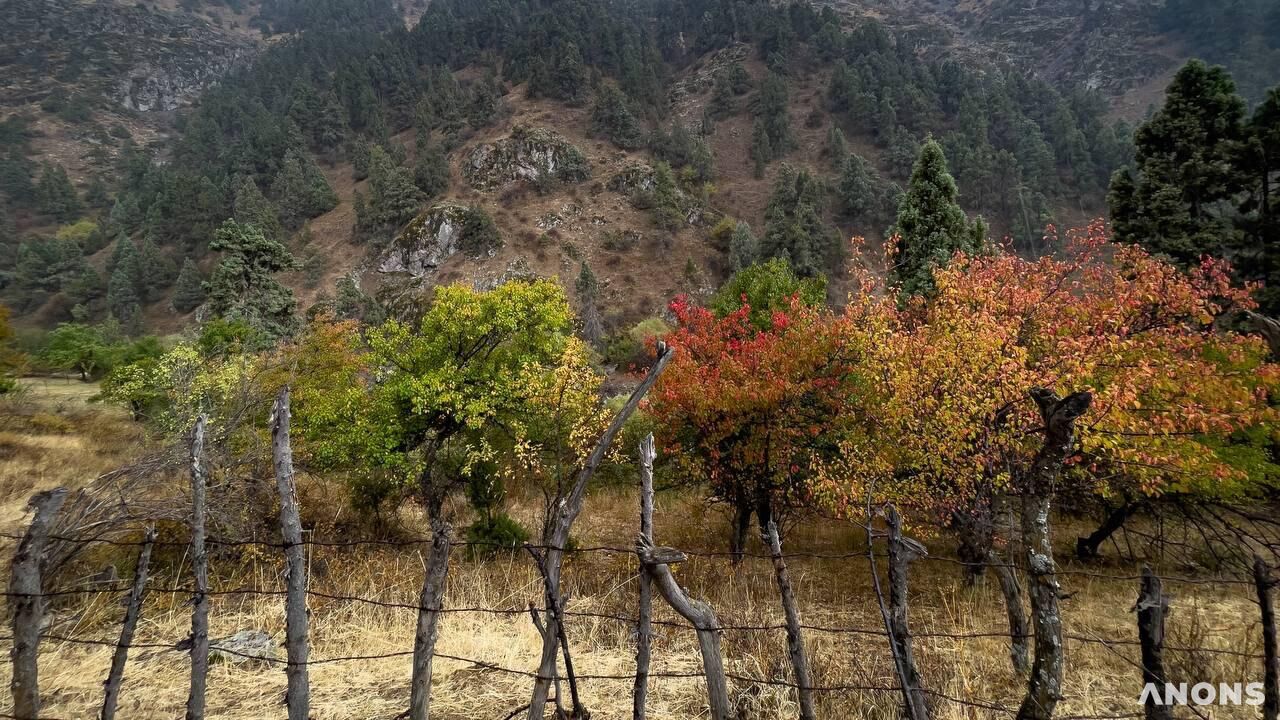 O‘zbekistonda keskin sovuq tushishi va tog‘larda qor yog‘ishi kutilmoqda
