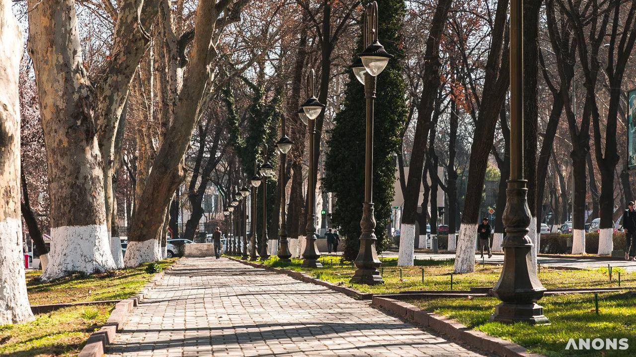 Bu hafta O‘zbekistonda havo harorati +25 darajagacha ko‘tarilishi kutilmoqda