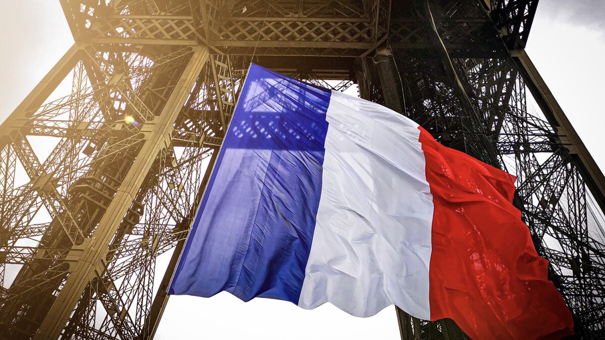 Виноградники и рестораны: узбекистанцы смогут официально работать во Франции