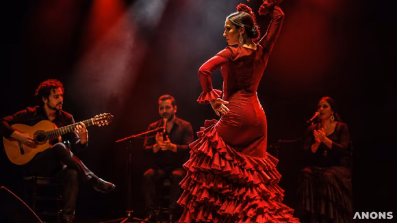 Концертное шоу Enigma Flamenco