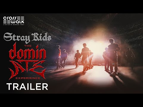 Stray Kids: The dominATE Experience