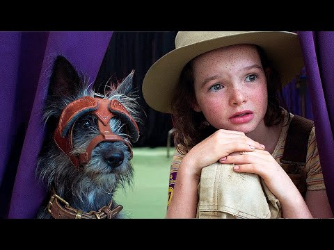 Мой любимый двортерьер